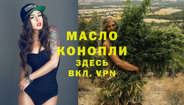прущие грибы Дмитриев