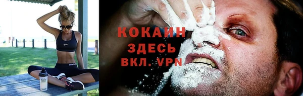 мдпв Гусь-Хрустальный