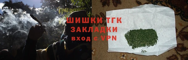 ГАЛЛЮЦИНОГЕННЫЕ ГРИБЫ Гусиноозёрск
