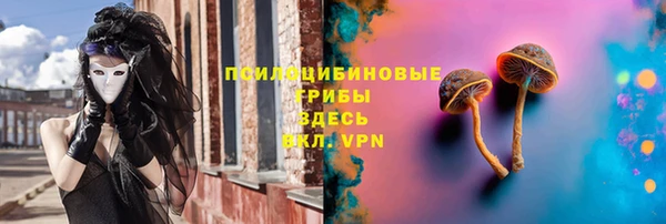 ГАЛЛЮЦИНОГЕННЫЕ ГРИБЫ Гусиноозёрск