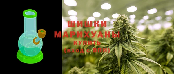 мдпв Гусь-Хрустальный