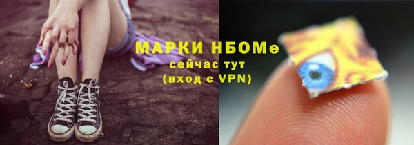 мдпв Гусь-Хрустальный