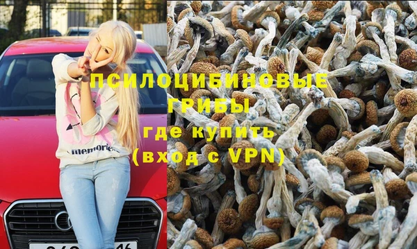 мдпв Гусь-Хрустальный
