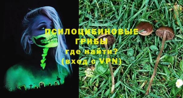 ГАЛЛЮЦИНОГЕННЫЕ ГРИБЫ Гусиноозёрск