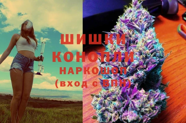 мдпв Гусь-Хрустальный
