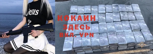 мдпв Гусь-Хрустальный