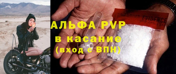 ECSTASY Гусев