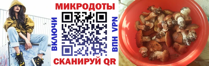 Псилоцибиновые грибы ЛСД Белореченск