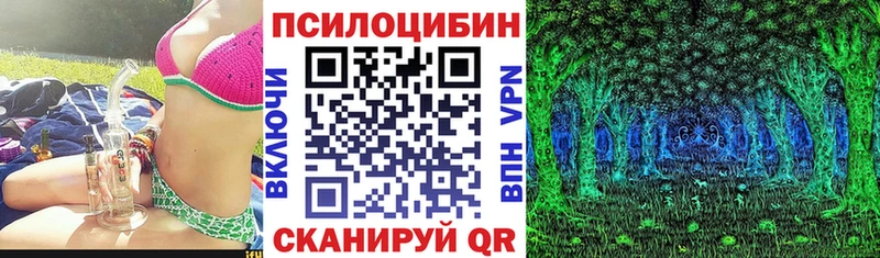 блэк спрут ссылка  где купить наркоту  Белореченск  Псилоцибиновые грибы Psilocybine cubensis 