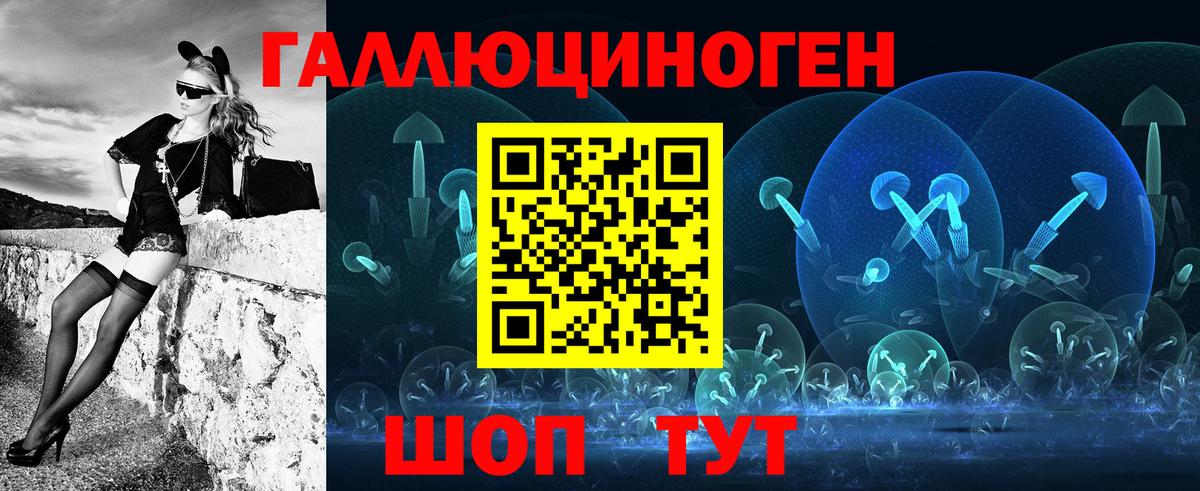 Псилоцибиновые грибы Psilocybe Белореченск